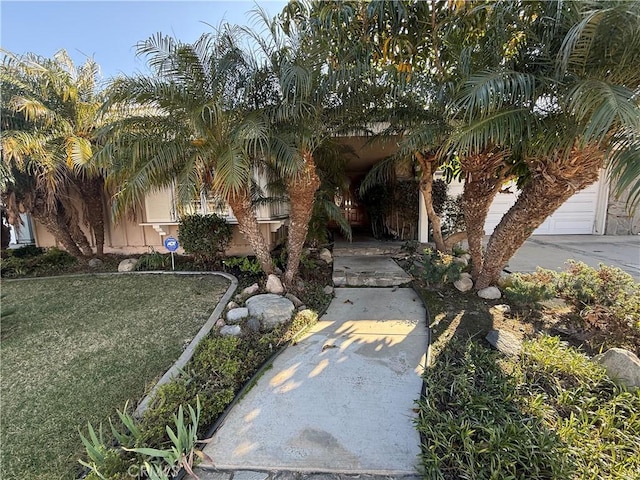 7122 Bluesails Dr, Huntington Beach, CA 92647 - view of exterior entry featuring a lawn