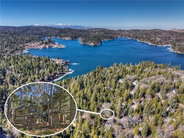 birds eye view of property featuring a forest view and a water and mountain view