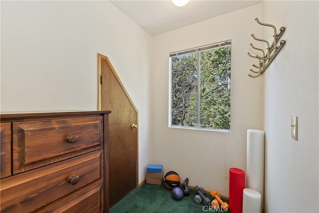 177 Joaquin Miller Rd, Lake Arrowhead, CA 92352 - rec room with carpet floors