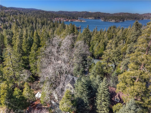 177 Joaquin Miller Rd, Lake Arrowhead, CA 92352 - bird's eye view of a forest and a large body of water