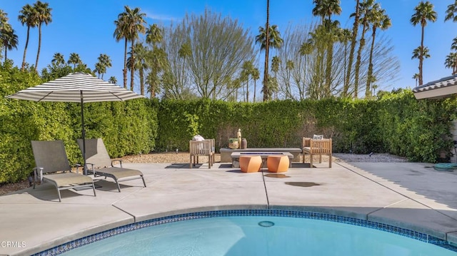 view of pool with a fenced backyard, a fenced in pool, and a patio