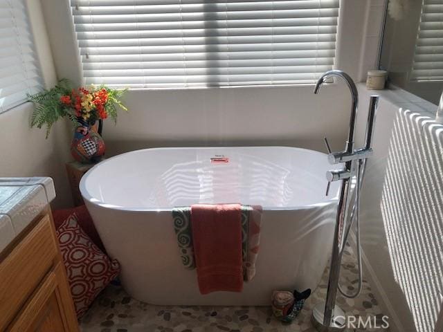 details featuring a freestanding tub and vanity