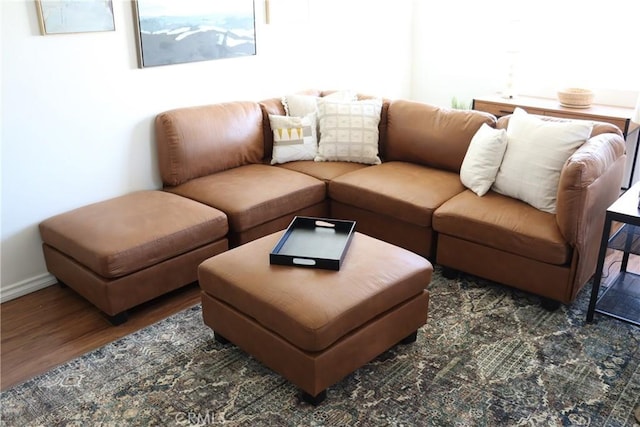 living area featuring dark wood-style flooring