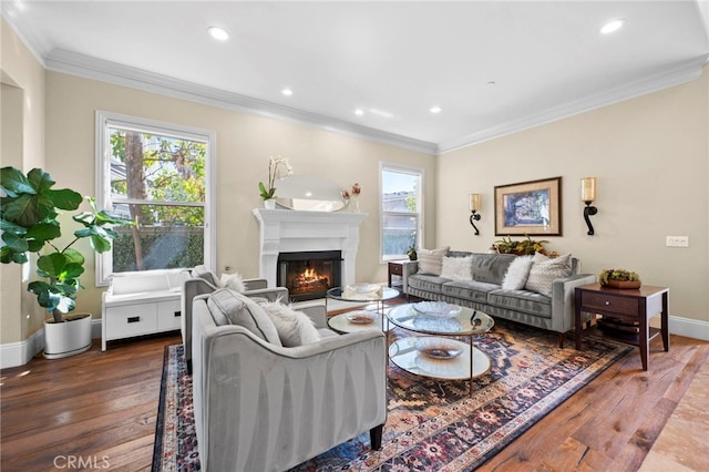 living area featuring ornamental molding, a healthy amount of sunlight, a lit fireplace, and wood finished floors