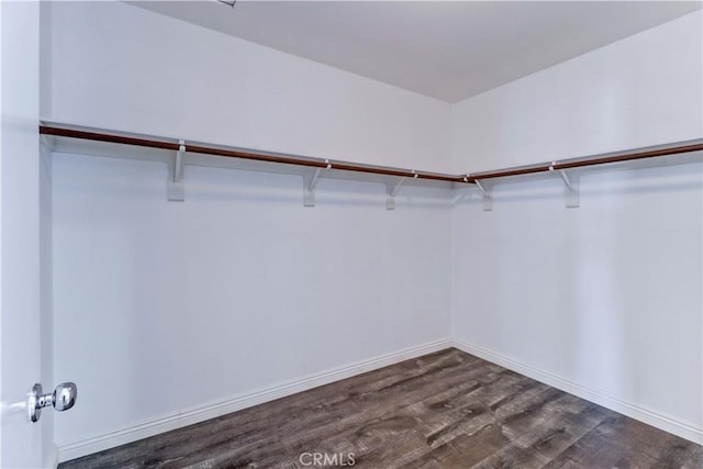 walk in closet with dark wood-style flooring