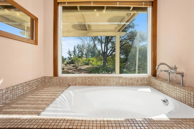 bathroom featuring a wealth of natural light