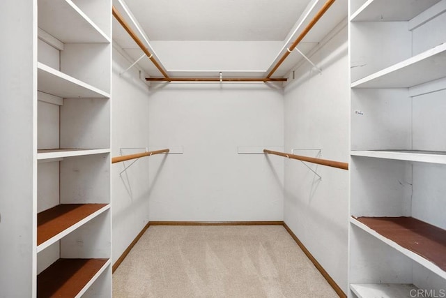 walk in closet featuring light carpet