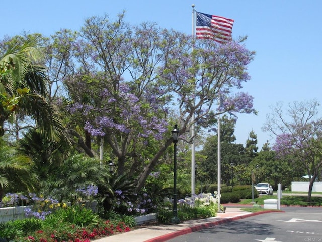 view of road featuring street lights, curbs, and sidewalks