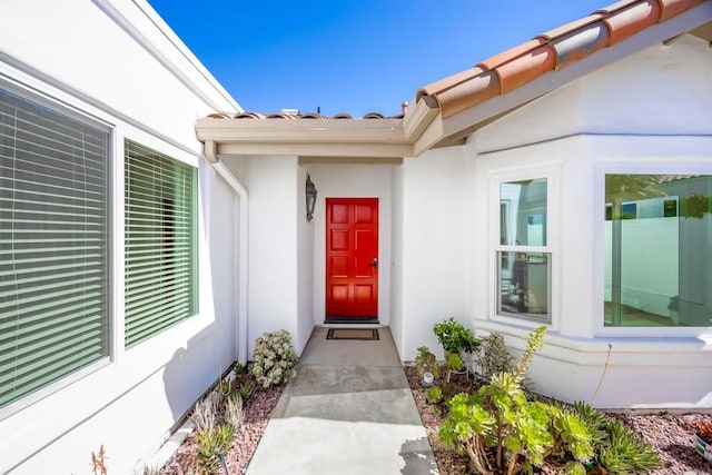 view of exterior entry with stucco siding