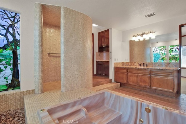 full bathroom featuring visible vents and vanity