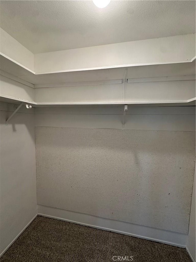 spacious closet with dark colored carpet