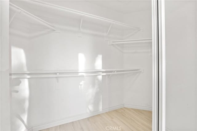 walk in closet with wood finished floors