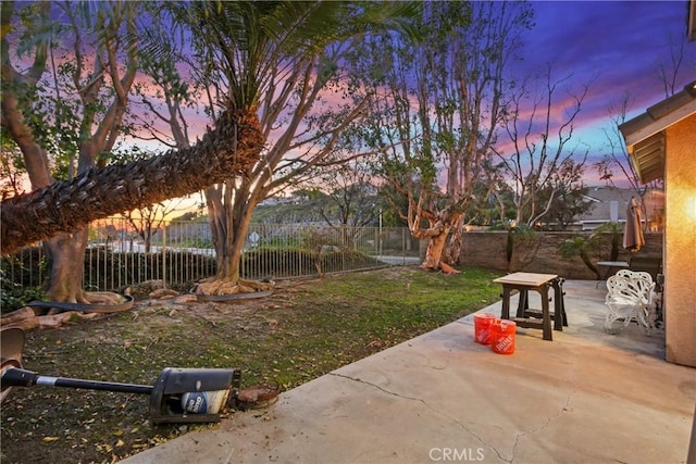 yard at dusk featuring a patio and a fenced backyard