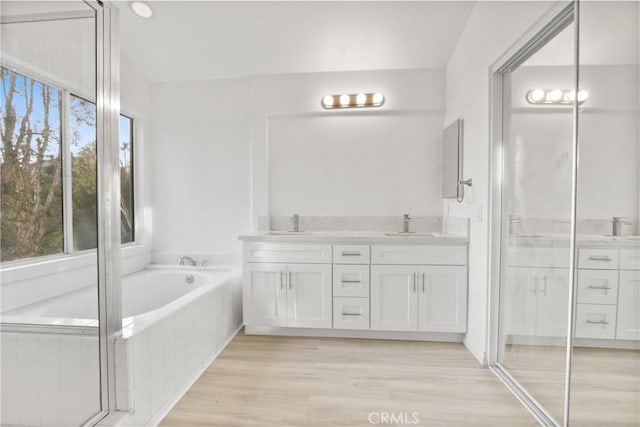 bathroom featuring a sink, double vanity, wood finished floors, and a bath