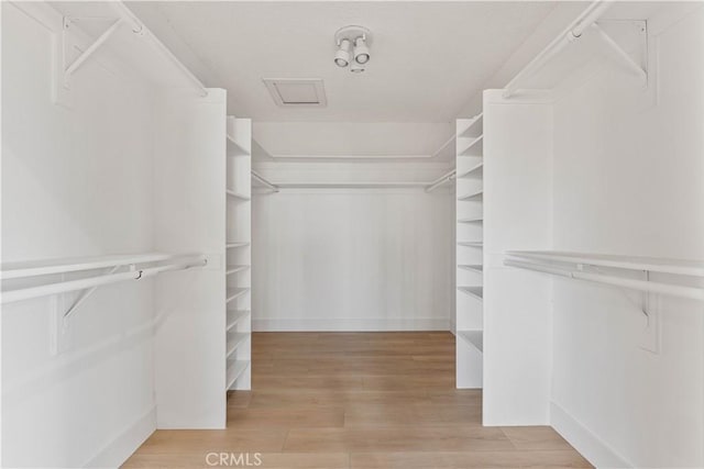 walk in closet featuring wood finished floors