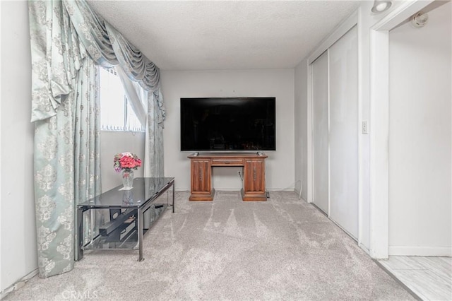 carpeted living area with a textured ceiling