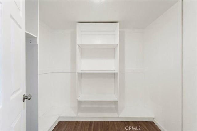 spacious closet featuring dark wood-style flooring