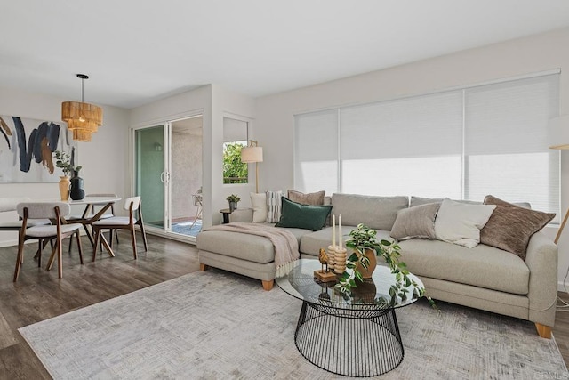 living area with wood finished floors