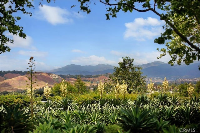 property view of mountains