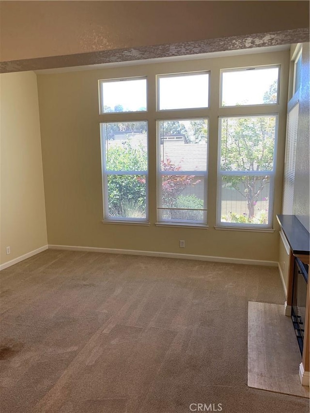 interior space featuring carpet floors and baseboards