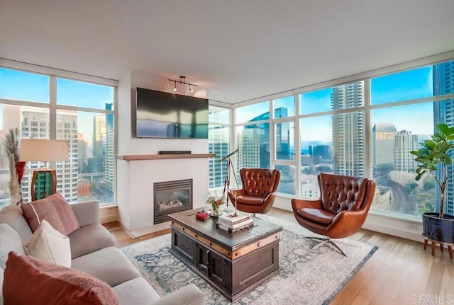 living area featuring a glass covered fireplace, rail lighting, and light wood finished floors