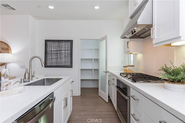 kitchen featuring under cabinet range hood, white cabinetry, stainless steel appliances, and a sink