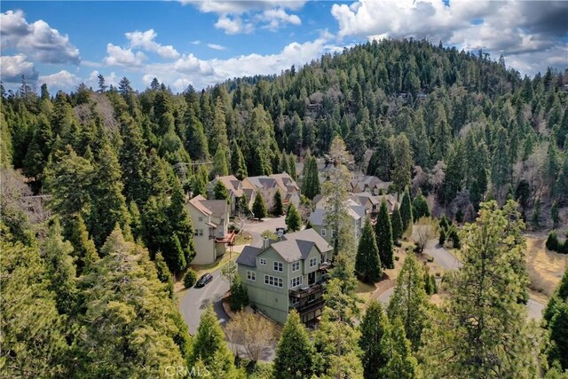 28449 Fresh Spring Ln, Lake Arrowhead, CA 92352 - photo 71