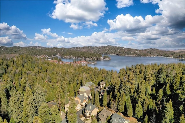 property view of water featuring a wooded view