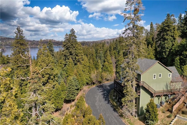 bird's eye view featuring a water view and a forest view