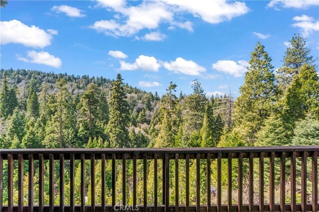 28449 Fresh Spring Ln, Lake Arrowhead, CA 92352 - photo 30