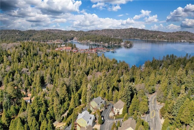 28449 Fresh Spring Ln, Lake Arrowhead, CA 92352 - photo 73