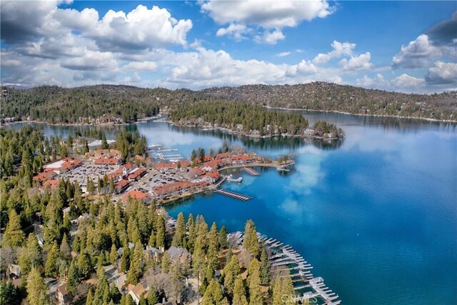 28449 Fresh Spring Ln, Lake Arrowhead, CA 92352 - photo 74