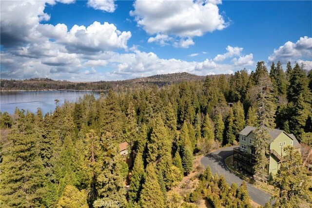 28449 Fresh Spring Ln, Lake Arrowhead, CA 92352 - photo 69