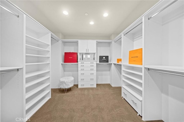 spacious closet with carpet