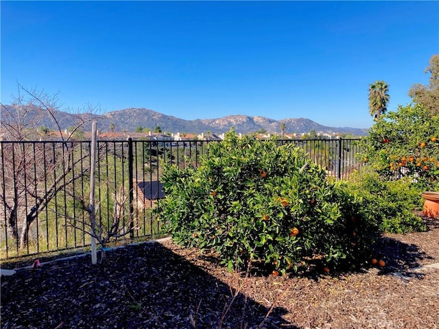 view of yard with fence and a mountain view