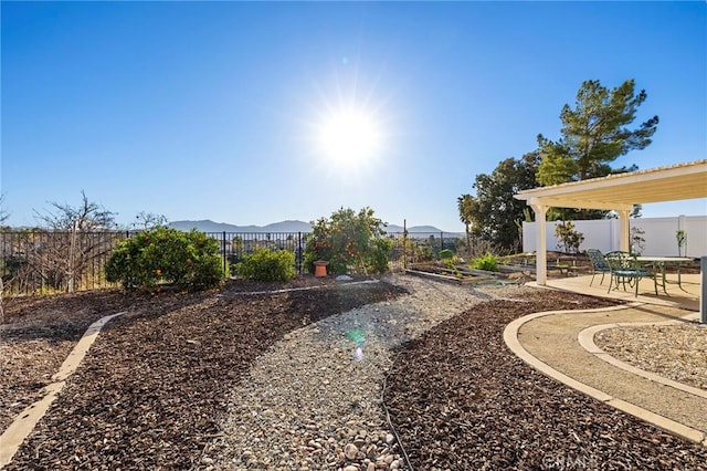 view of yard featuring a patio and a fenced backyard