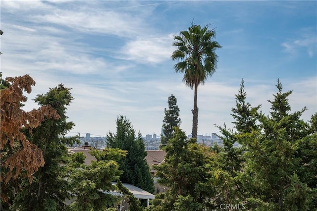 2268 Rose Ave, Signal Hill, CA 90755 - photo 38