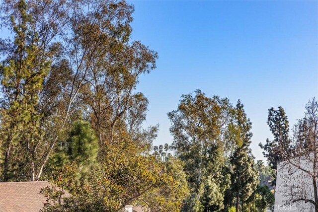 7506 Parkway Dr Unit 104, La Mesa, CA 91942 - view of local wilderness