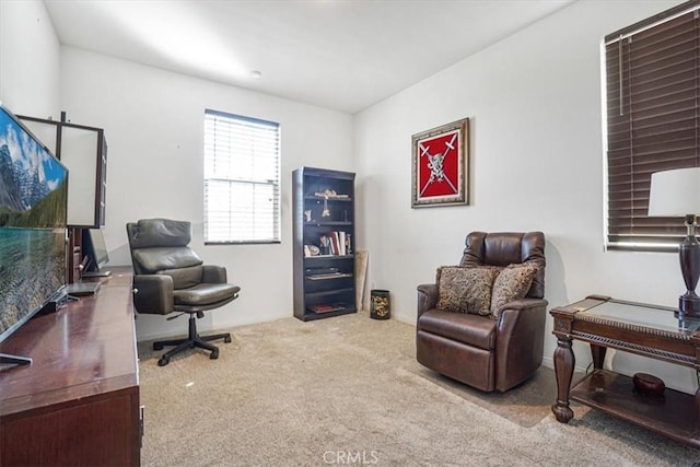 view of carpeted office space