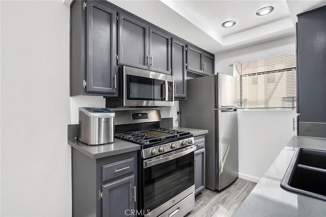 kitchen with a tray ceiling, recessed lighting, appliances with stainless steel finishes, a sink, and light wood-type flooring