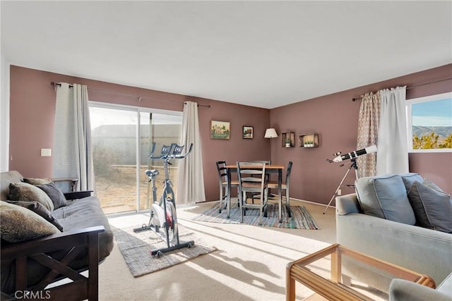 living room featuring carpet flooring