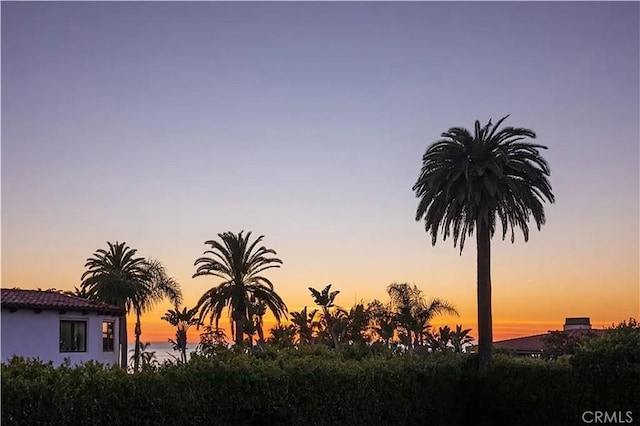 view of nature at dusk