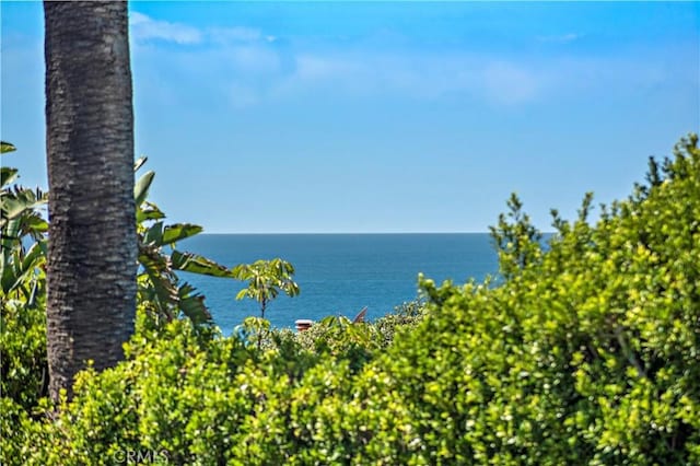 4060 Calle Isabella, San Clemente, CA 92672 - photo 28
