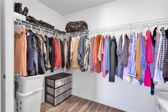 walk in closet with wood finished floors