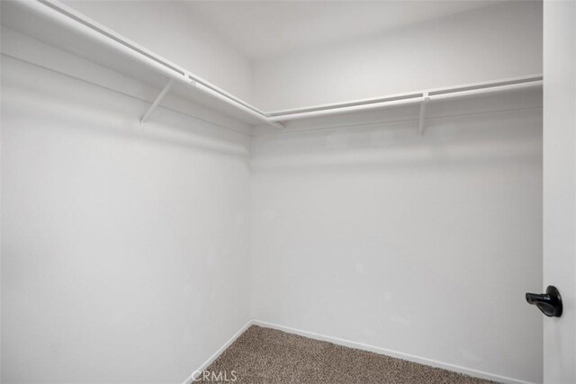 3311 Via Carrizo Unit P, Laguna Woods, CA 92637 - spacious closet featuring carpet flooring