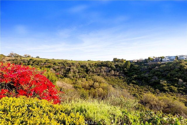 view of nature