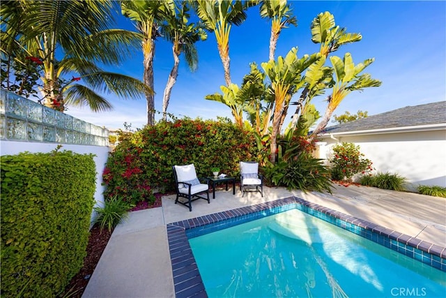 view of swimming pool featuring a fenced backyard, a fenced in pool, and a patio