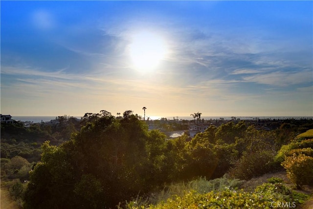 view of local wilderness