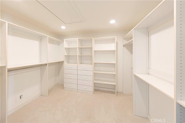 spacious closet featuring light carpet and attic access