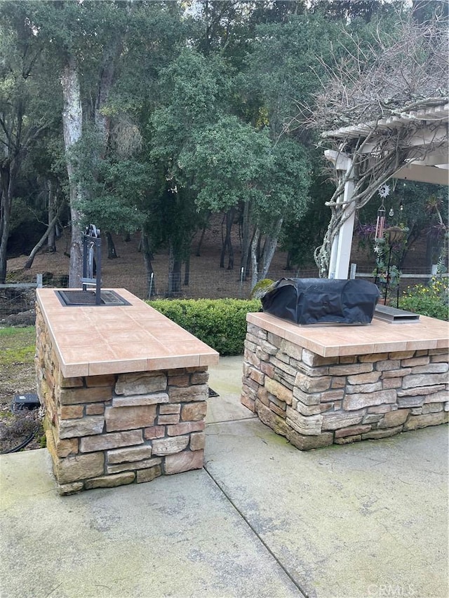 view of patio featuring grilling area